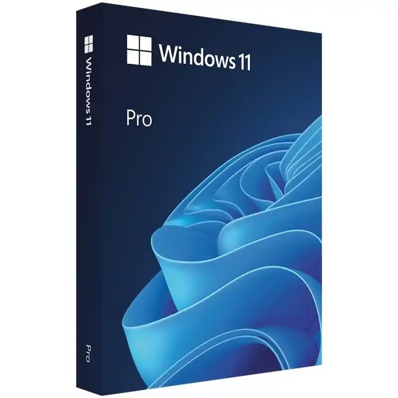 Win Pro FPP 11 64-bit Eng Intl USB Cel mai bun preț