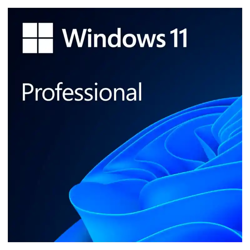 Ofertă specială Microsoft Windows Professional 11 64-bit All Languages Online Product Key License 1 License Downloadable ESD NR