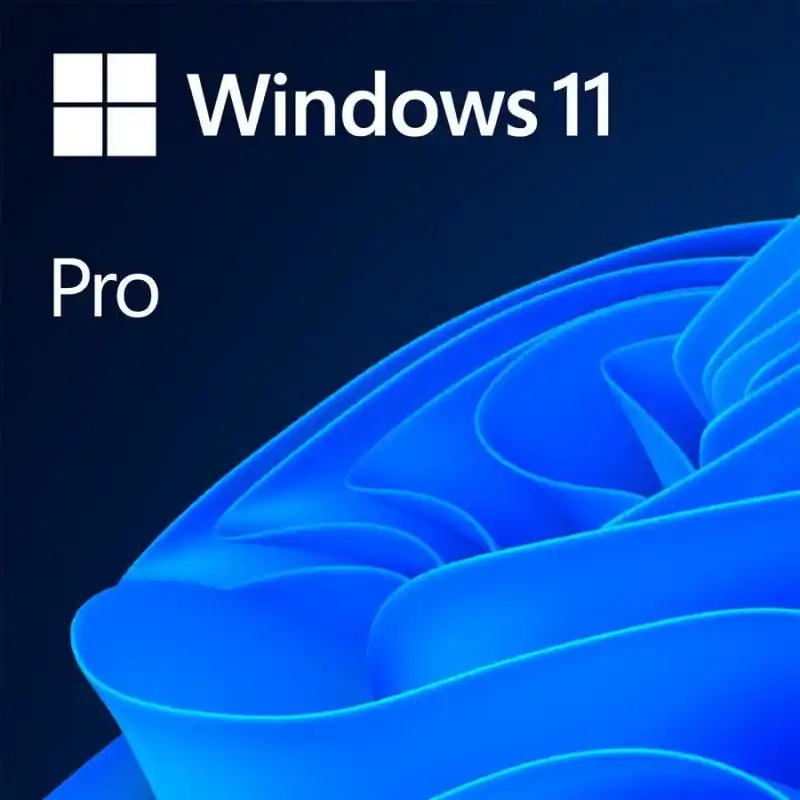 Retur ușor Licenta OEM Microsoft Windows 11 Pro 64 bit English