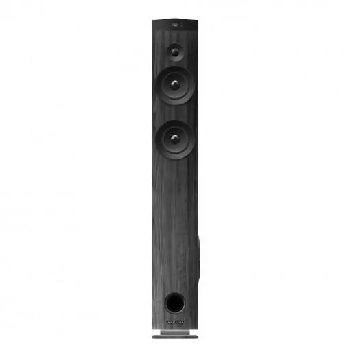 Mai ieftin Sistem Audio 2.1 ES Tower 7 TrueWireless