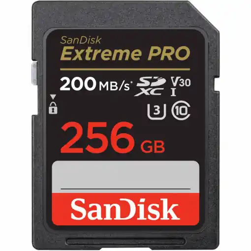 SD Card 256GB CL10 SDSDXXD-256G-GN4IN Plată sigură