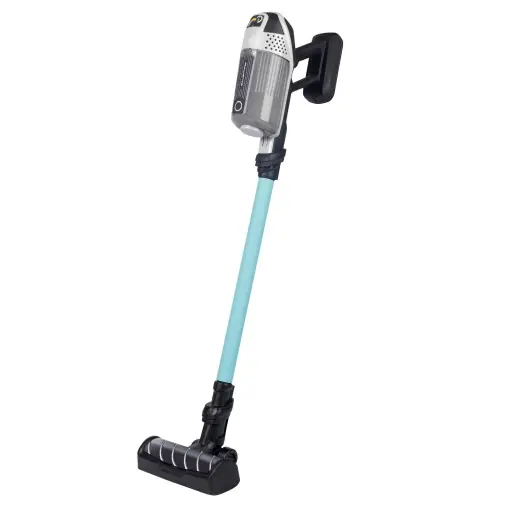 Aspirator pentru copii Smoby Rowenta X Force Flex Preț mic