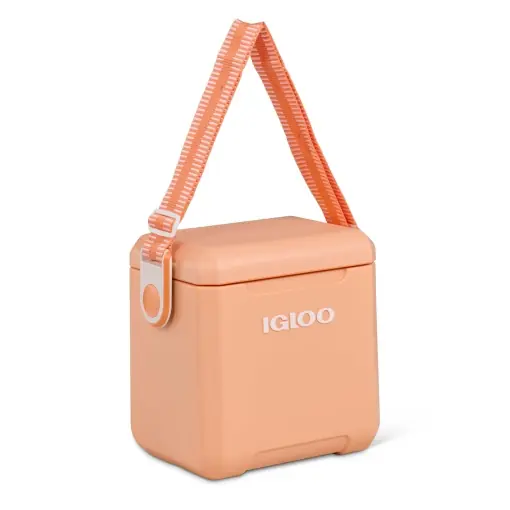 Livrare expres Igloo Passive Cooler Tag Along Too, 10 litri, pentru cumparaturi, camping, timp liber si munca, Caise