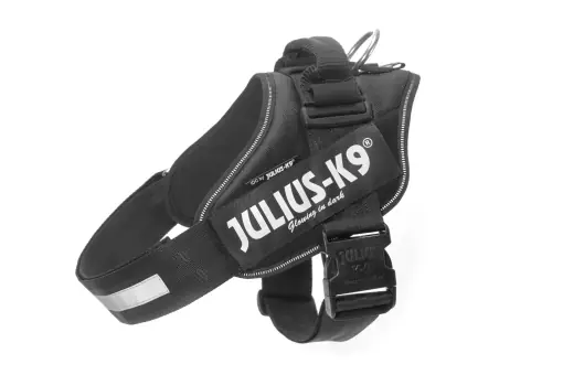 Julius K9 16IDC-P-1 Ham de putere IDC cu Logo Field, marimea 1, negru Premium
