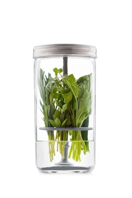 Set Kilner pentru pastrarea plantelor aromatice borcan 1L cu capac inox si accesorii mentine ierburile proaspete pana la 3 saptamani Preț mic