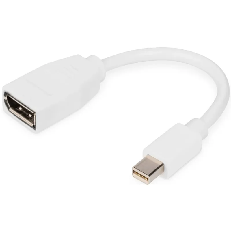 Lichidare de stoc DIGITUS DisplayPort Mini DisplayPort Convertor Alb 15cm DB-340405-001-W