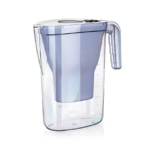 BWT 842121 Vida 1 magneziu filterrel filtru apă cană 2.6L Preferatul clienților