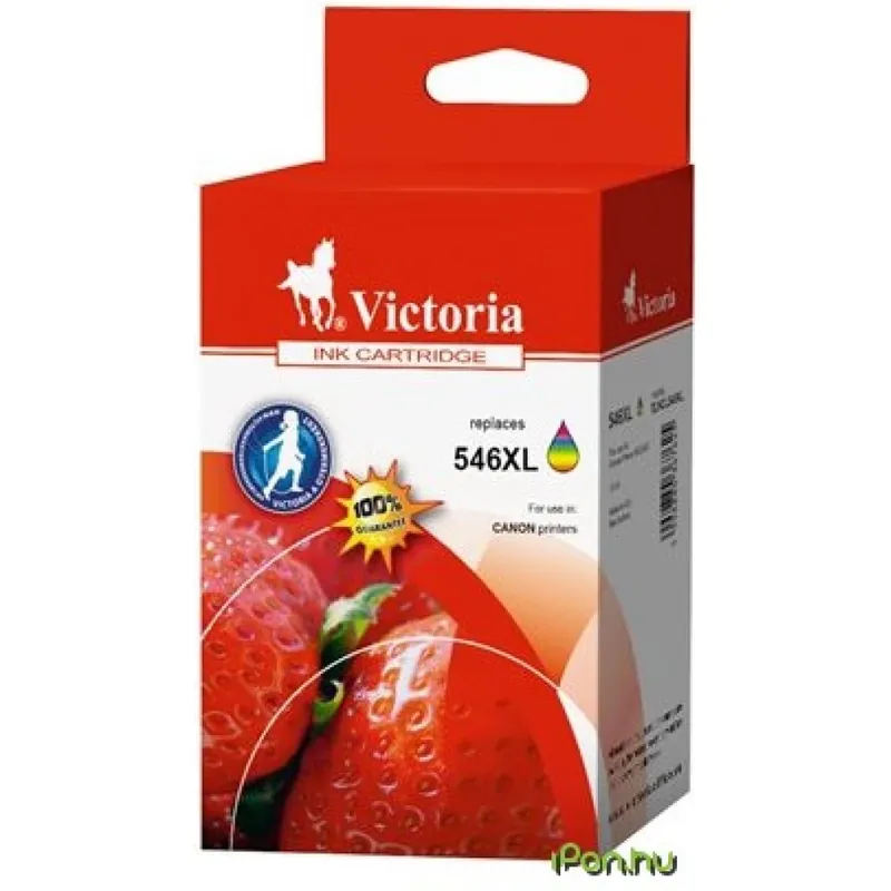 Plată securizată CANON CL-546XL (Victoria) (compatibil)