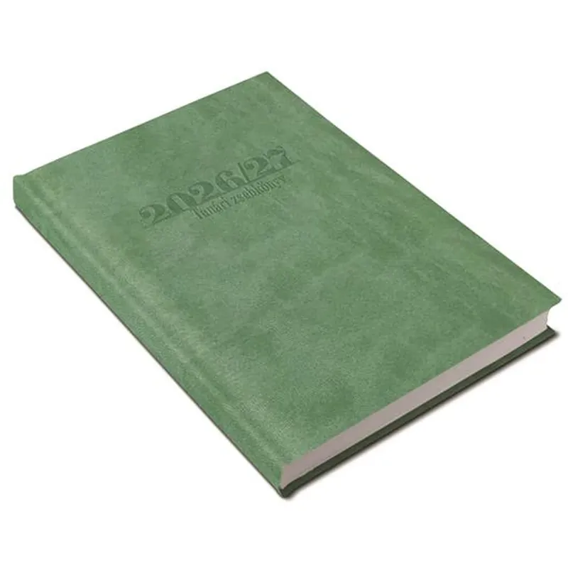 Reduceri REALSYSTEM Profesor carte de buzunar 2026/2027 an scolar A5 săptămânal verde deschis NAT531106U