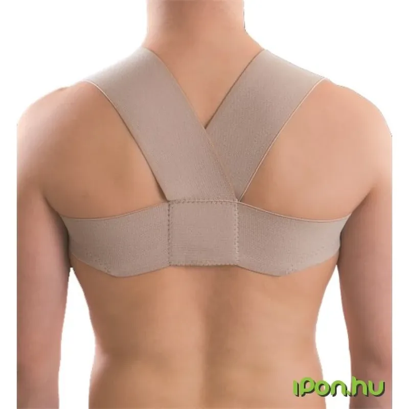 ANATOMIC HELP Întreținere corectivă în cazul în care curea XL Preț mic