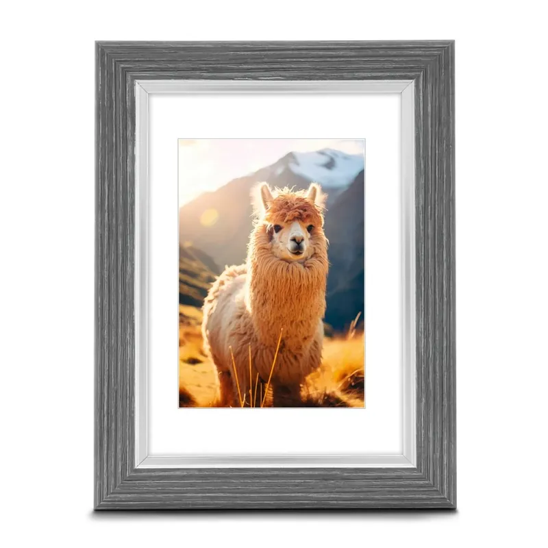 Premium HAMA Plastic cadru LIMA 13x18 gafit