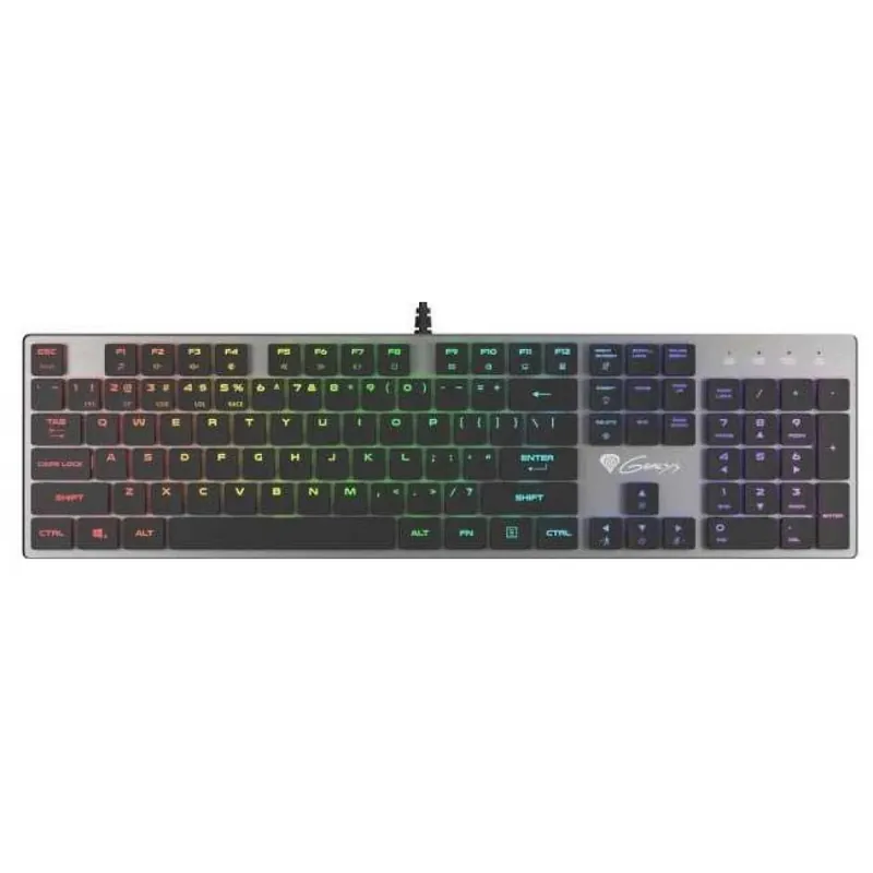Livrare expres NATEC Thor 420 RGB US engleză argint